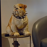 Divani Center 09,11,2025Г :: ujgcvbif 