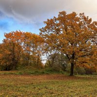 Павловский парк :: skijumper Иванов