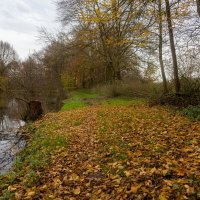 *** :: Николай Гирш