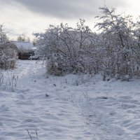 Лег первый снег :: Сергей Ц