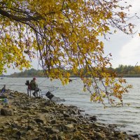 Рыбалка на Дону. :: Александр 