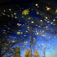 Отражение осени :: Оксана Новик 