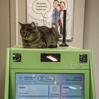 Приложите карту :: Петр Фролов