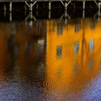 В осенней палитре :: liudmila drake