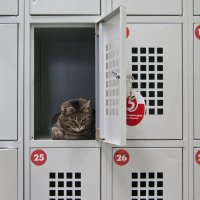 В ожидании "мышки - побегушки" :: Владимир Шишкин