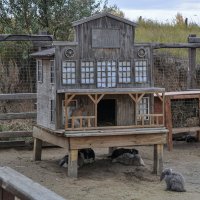 Домик братцев кроликов :: Татьяна Машошина