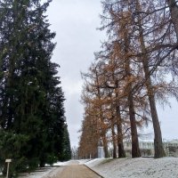 Осень :: Сапсан 