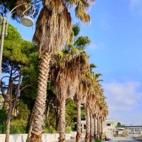 Санаторий Авангард :: Tata Wolf