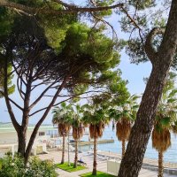 Санаторий Авангард :: Tata Wolf Санаторий Авангард :: Tata Wolf