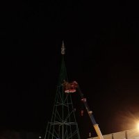 Строительство ёлки :: Ольга 