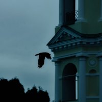 Одинокий полёт :: Анастасия Ильина Одинокий полёт :: Анастасия Ильина