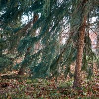 Tallinn, Fotograaf Arkadi Baranov, FEP, Estonia :: Аркадий Баранов Arkadi Baranov Tallinn, Fotograaf Arkadi Baranov, FEP, Estonia :: Аркадий Баранов Arkadi Baranov