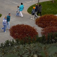 Осенняя прогулка. :: Юрий Полторыхин.