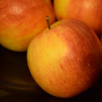 Яблоко. :: Юрий Полторыхин.