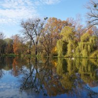 Ноябрьский пейзаж :: Рита Симонова