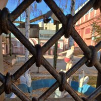 *** :: # fotooxota *** :: # fotooxota