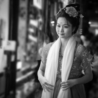 Шанхайская красавица. :: Александр Кордюков