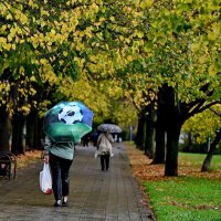 Болельщица... :: Николай Саржанов
