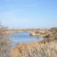 **** :: Виктор 