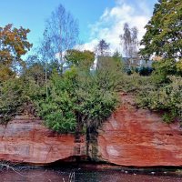 Берега реки Оредеж. :: Лия ☼