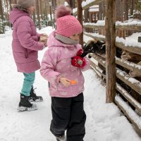 Внучки кормят животных. :: Андрей Дурапов Внучки кормят животных. :: Андрей Дурапов