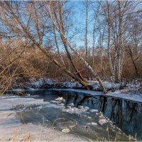 Зарисовка ноября :: Алексей Мезенцев Зарисовка ноября :: Алексей Мезенцев