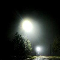 Туман :: Александр Сансар