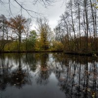 *** :: Николай Гирш