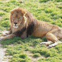 В парке Тайган :: Татьяна Тюменка