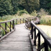 По дорожке заповедной :: Валерий VRN По дорожке заповедной :: Валерий VRN