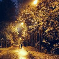 Прогулка осенним вечером :: Елена Прогулка осенним вечером :: Елена