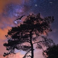 На закате :: Shmual & Vika Retro