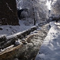 На прогулку выходи! :: Алексей Большаков