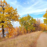 Золото осени :: Надежда Золото осени :: Надежда