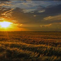Закат. :: Александр Закат. :: Александр