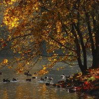 На озере :: Юрий. Шмаков