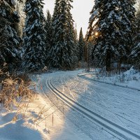 Барзасская тайга :: Сергей Винтовкин