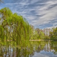 Пруд :: Jakob Dick