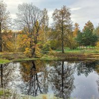 *** :: El Кондукова