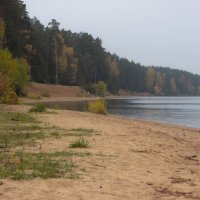 Река Волга, Конаковский бор :: fogmeadowww m