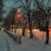 Зимнее утро :: Виктор Иванович Чернюк Зимнее утро :: Виктор Иванович Чернюк