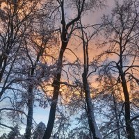 Закат :: Сапсан 