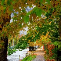 Улица Ленинградская :: Сергей Карачин Улица Ленинградская :: Сергей Карачин