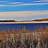 Октябрь...Краски поздней осени! :: Владимир 