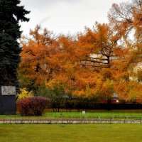Сквер у главного входа в музей. :: Татьяна Помогалова