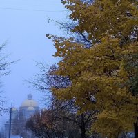 Ноябрь осенний. :: Ольга 