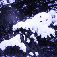 Глазастик :: Людмила Смородинская