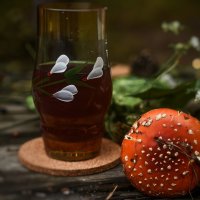 Пикник в лесу. Оснее чаепитие. :: Анастасия Ильина