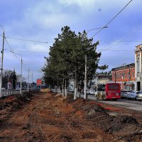 Испорченная аллея :: Юрий Гайворонскiий