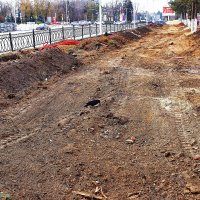 Ищут пропитание :: Юрий Гайворонскiий